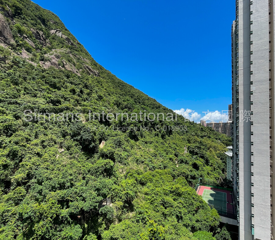 View from Living Room
